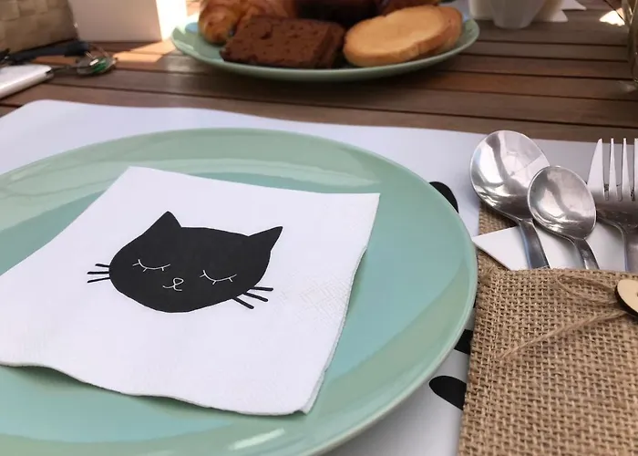 Il Gatto Stanco 아로나