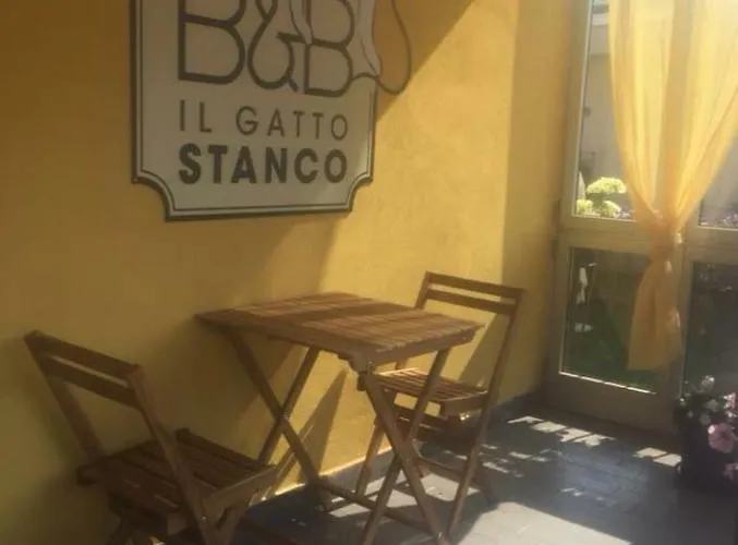 Il Gatto Stanco 아로나