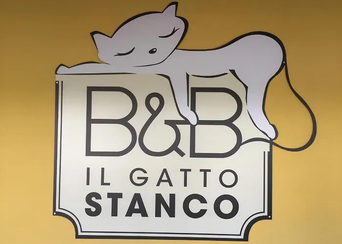 Il Gatto Stanco 아로나