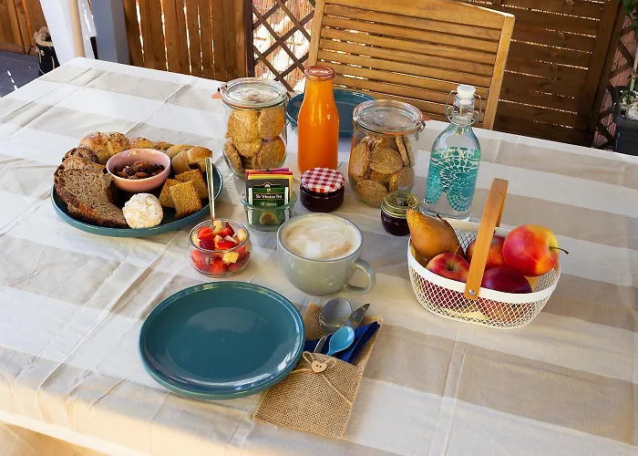 Il Gatto Stanco 3* 아로나